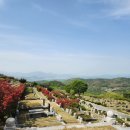 삼덕공원 이미지