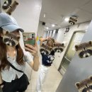 여름이었다