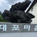 카카오 이미지