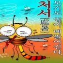 처서 이미지