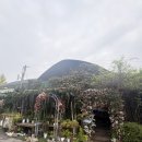 강동로-40 | 천호꽃집 현림플라워앤데코 | 생일선물로 딱 좋은 강동구꽃집 후기