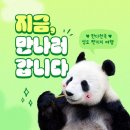 하나탑항공
