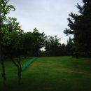 아담파크장 이미지