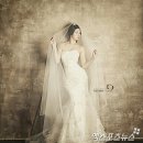 카타리나 스튜디오 이미지