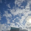 에스와이컴퍼니 | 대리석 마감 후 울타리 펜스 및 옥상안전난간대 설치 후기 - 경북안동