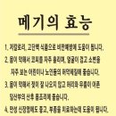 어가본가 이미지