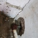 새로나사세탁소 이미지