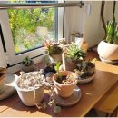 동화속베이커리 이미지