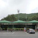 대의고개민물장어 이미지