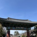 데일리샵 | 서울대입구 사우나 서울 세신샵 후기 | 데일리앤스파