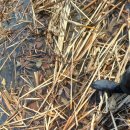 현씨농장 이미지