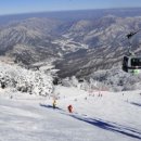무주 덕유산 리조트 이미지