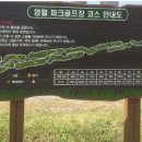 영월-74