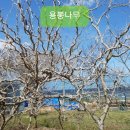 용문슈퍼 이미지