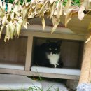 형노가정육식당 이미지