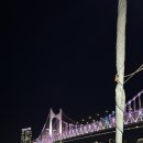 이디엠 | 부산요트투어 요트이디엠 오후 6시 30분 타임 예약 후기