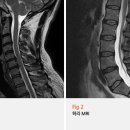 마디콕마취통증의학과의원 이미지