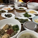 울릉향민박 네이버블로그