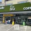 욜로홀로