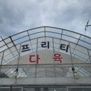 다산프리티다육