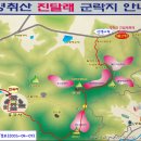 전남 여수영취산 진달래축제 이미지