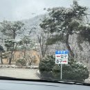 여주 놀거리 산속애: 여주 아이랑 가볼만한 곳 동물 먹이 체험 후기