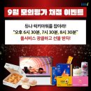 모의모든것 이미지