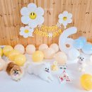 파티가는 댕댕이 이미지