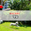 쇠미로 | 부산 애견 운동장 멍숲 부산 강아지 운동장 추천