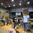 다락방고양이 이미지