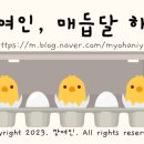 초시토속식당 이미지