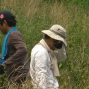 동산통신 이미지