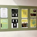 강릉당구장 | 강릉 이지아쉬탕가 원데이클래스, 초보도 편안했던 <브리드> 요가원 후기