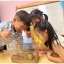 신일어린이집 이미지