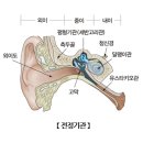 배성천 이미지