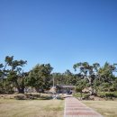 향나무로 이미지