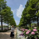 순천만쉼표 | 정원이 있는 풍경, 순천만 국가정원 가족, 친구들과 함께 가볼 만한곳 여행 후기