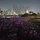 새빛 태양광발전소 이미지