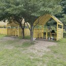 양양 발렌타인 애견펜션 이미지