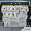 부여(외산)-14 | 관저 건양대병원 시외버스 시간표 총정리 (2026 최신) 노선·요금·위치 한눈에 보기