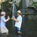 장전농장 이미지