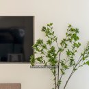 포인트피부과의원 | 인테리어 사진 | 종로 피부과의원 사진촬영 후기