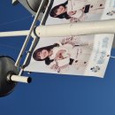 46 | 241226 히나타자카46 Happy Magical Tour 2024 후기