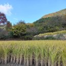 장동 산디마을입구 주차장 이미지