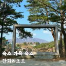 속초 가족 숙소 추천 한화리조트 조식 워터파크 후기