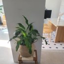 애휴스테이 이미지