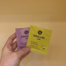 나성동_에스제이타워앞BRT | 세종 나성동 체형교정 전문 &#39;바세움기구운동&#39; 1:1 레슨 솔직후기