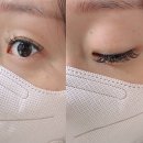 오트문래쉬 이미지