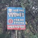 자연목장 | 남해가볼만한곳 추천, 자연 속 힐링 여행지 ‘남해상상양떼목장 편백숲’ 다녀온 솔직 후기