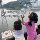 부산 송도 케이블카 아기랑 탑승 후기｜가족 나들이 꿀팁 (요금·할인·주차장)